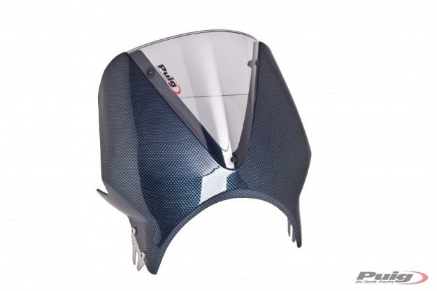 Afbeeldingen van Vervangingsruit naked bike model Vision carbon look Puig licht getint