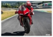 Afbeeldingen van Side Spoiler Downforce Race Puig voor Ducati Panigale V2 / V4 1100 / V4S '20-