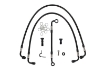 Afbeeldingen van Brake line kit for top yoke conversion without ABS BMW S1000RR -'11 - Wunderlich