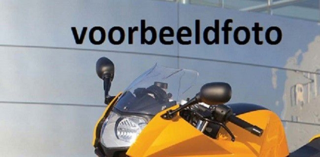 Afbeeldingen van Vervangingsruit standaard BMW F800S '06-'13-licht getint