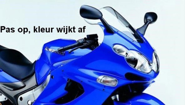 Afbeeldingen van Vervangingsruit standaard Kawasaki ZZR1200 '02--licht getint