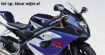 Afbeeldingen van Vervangingsruit standaard Suzuki GSX-R1000 '05-'06