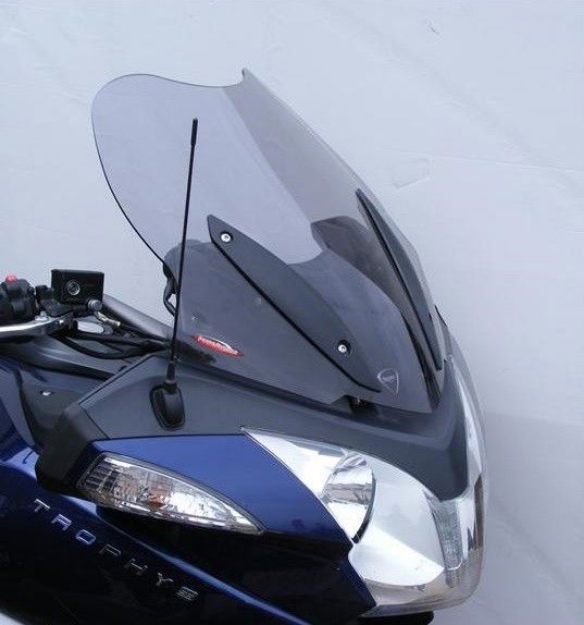 Afbeeldingen van Vervangingsruit standaard Triumph Trophy 1200 '13-'16-licht getint