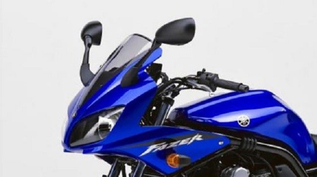 Afbeeldingen van Vervangingsruit Standaard Yamaha FZS 600 '02-'03-licht getint