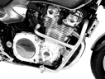 Afbeeldingen van Valbeugel zwart Hepco&Becker Yamaha XJR1200/1300 '94-06