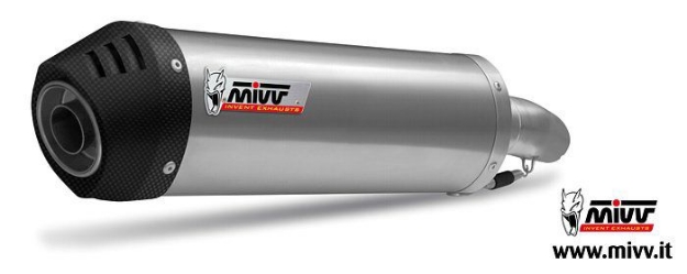 Afbeeldingen van MIVV Oval titanium demper met carbon cap BMW R1200GS '04-07