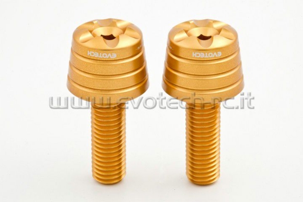 Afbeeldingen van Trillingsdempers Evotech BMW S1000RR 2009--Goud