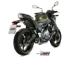 Afbeeldingen van MIVV systeem met Delta Race RVS Kawasaki Ninja 650 / Z650 '17-22 (1 lambda)