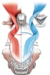 Afbeeldingen van Vervangingsruit National Cycle VStream Honda GL1500 (met rooster uitsparing)