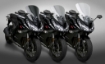 Afbeeldingen van Vervangingsruit National Cycle sport/touring licht getint Kawasaki Z1000SX '11-16