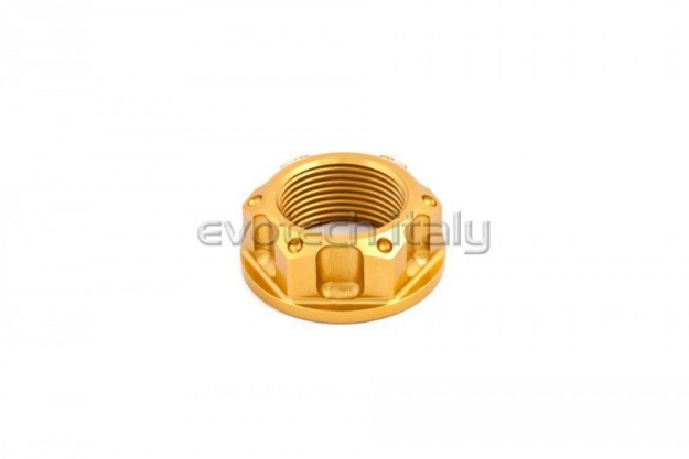Afbeeldingen van Achterasmoer Evotech aluminium TB-005A-Goud