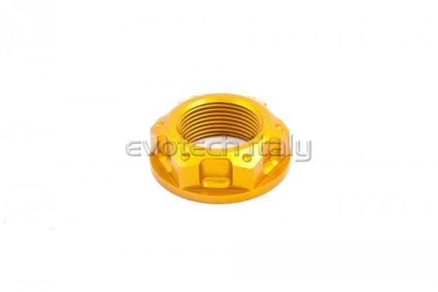 Afbeeldingen van Achterasmoer Evotech TB-008A-Goud