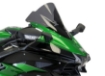 Afbeeldingen van Vervangingsruit airflow Kawasaki H2 SX '18-