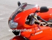 Afbeeldingen van Vervangingsruit standaard Ducati 1000SS/800SS/750SSI '98-'06