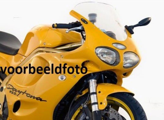 Afbeeldingen van Vervangingsruit standaard Triumph Daytona T595/T955I -'00-licht getint