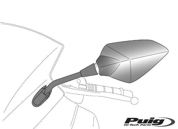 Afbeeldingen van Kuipspiegel model RS2 links universeel Puig-Carbon look