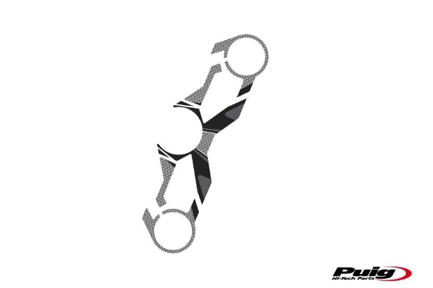 Afbeeldingen van Kroonplaatcover model Radikal voor Kawasaki Ninja 250SL '15-'16-Grijs