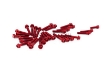 Afbeeldingen van Blokboutenset Evotech aluminium (set) Kawasaki Z125 '19- -rood