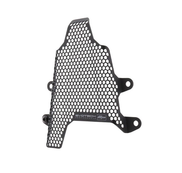 Afbeeldingen van Afdekplaat duo voetsteunen / benzine tank Evotech Performance Ducati Panigale V4R '19-20