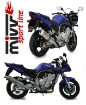 Afbeeldingen van MIVV Oval Classic RVS demper (small) Yamaha FZS1000 '01-'05