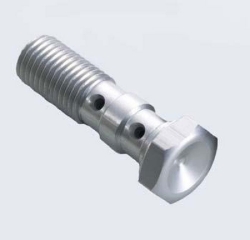 Afbeeldingen van Banjobout dubbel UNF 3/8'' goud