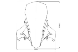 Afbeeldingen van Vervangingsruit V-Tech Line touring Honda PCX125/150 '18-20