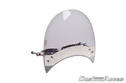 Afbeeldingen van Windscherm model Roadster Custom Acces -licht getint