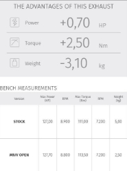 Afbeeldingen van MIVV Delta Race RVS Ducati M1200 '15-16