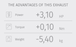 Afbeeldingen van MIVV Delta Race RVS Ducati M821 / M1200 '17-