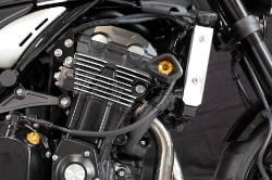 Afbeeldingen van Sliders Evotech Anti-Shock Kawasaki Yamaha YZF-R1 '04-'06 -goud