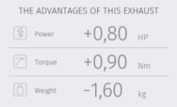 Afbeeldingen van MIVV MK3 carbon dubbel Honda CB1000R '18-