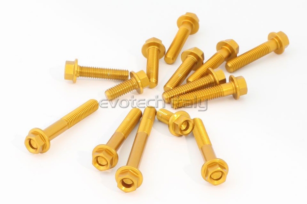 Afbeeldingen van Blokboutenset Evotech aluminium (set) Honda CB300R ’18- - goud
