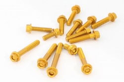 Afbeeldingen van Blokboutenset Evotech aluminium (set) BMW S1000RR ’19-