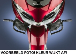 Afbeeldingen van Valbeugel RVS van National Cycle voor de Honda GL1800 '18-