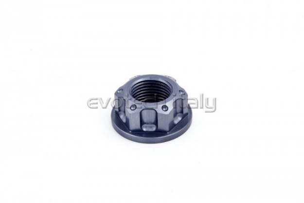 Afbeeldingen van Swingarmmoer Evotech aluminium TB-001S-Titanium