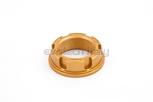 Afbeeldingen van Swingarmmoer Yamaha R1 '07-12 (rechts) Evotech TB-020-Goud