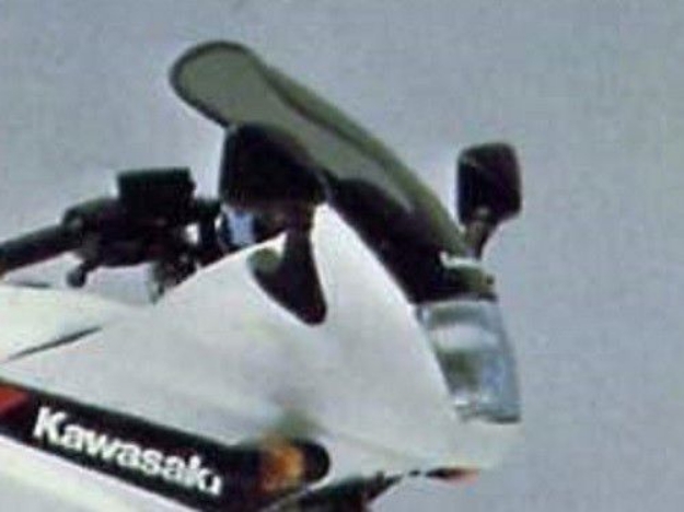 Afbeeldingen van Vervangingsruit Standaard Kawasaki GPZ 500S -'93-licht getint