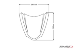 Afbeeldingen van Vervangingsruit Z-Racing Puig Kawasaki ZX10-R '21- carbon look