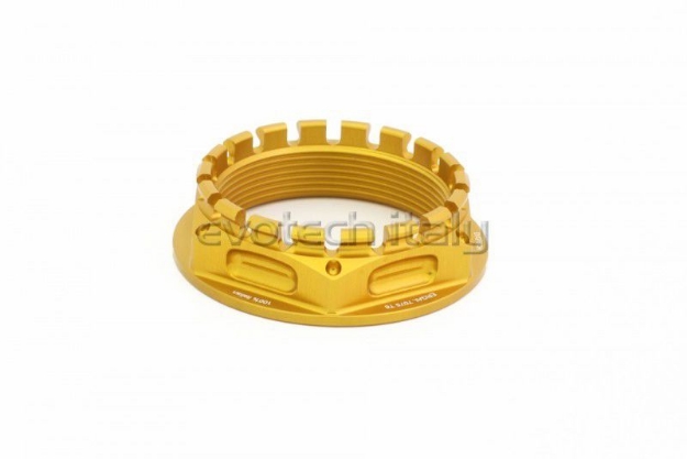 Afbeeldingen van Achterasmoer Evotech diverse Ducati/ MV Agusta modellen TB-014A -goud