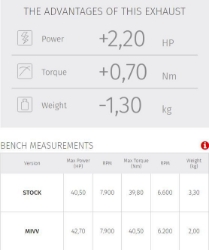 Afbeeldingen van MIVV Oval RVS demper met carbon cap Voge Valico 500DS '20-