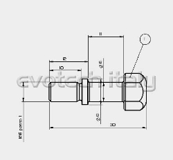 Afbeeldingen van Kick stand pivot screw Ducati Panigale V4