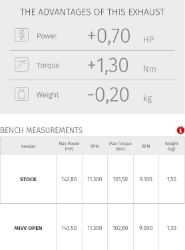 Afbeeldingen van MIVV MK3 carbon Yamaha MT-10 '16-'21