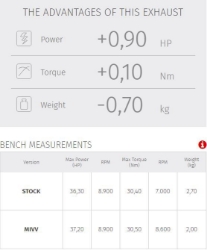 Afbeeldingen van MIVV Oval titanium demperset met carbon cap KTM 390 Adventure '20-