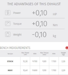 Afbeeldingen van MIVV GP PRO carbon KTM Duke 125/ 390 '21-23
