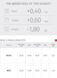 Afbeeldingen van MIVV MK3 carbon Benelli 502C '19-