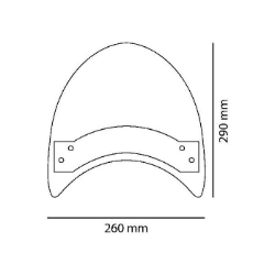 Afbeeldingen van Windscherm model Mad max licht getint Puig