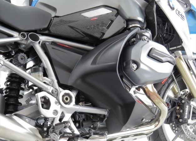 Afbeeldingen van Been protectors BMW R1200GS / ADV '13- / R1200R '15- / R1200RS '15--Carbon look