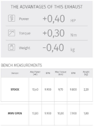 Afbeeldingen van MIVV carbon GP demper KTM Duke 125 '17-