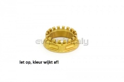 Afbeeldingen van Achterwielmoer aluminium Evotech TB-012-P