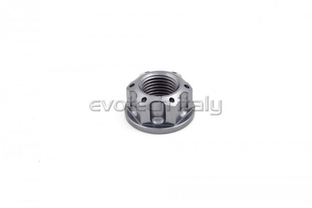 Afbeeldingen van Swingarmmoer Evotech TB-017S-Titanium